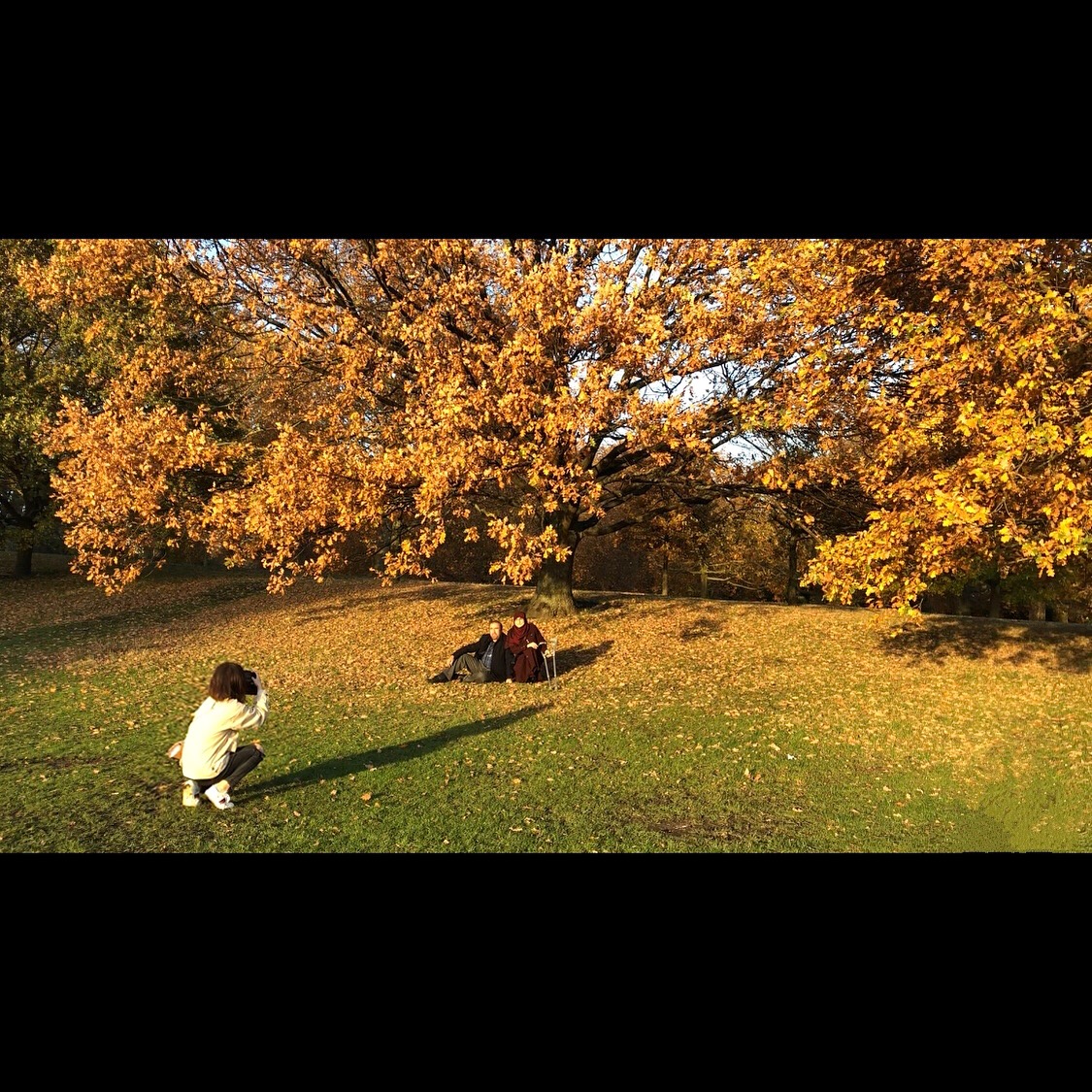 一些记忆里被治愈的瞬间