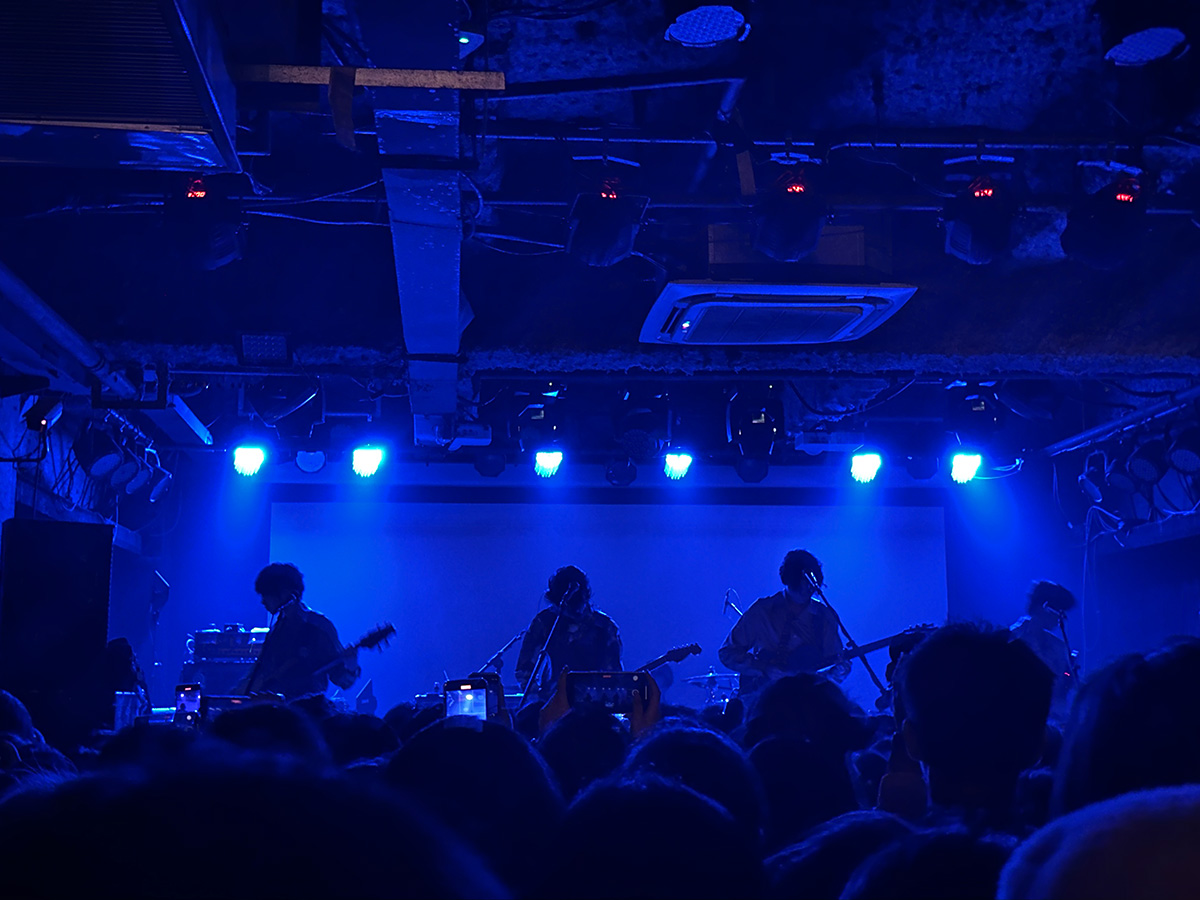 属于水果星球的夜晚